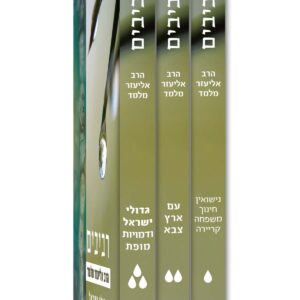 רביבים