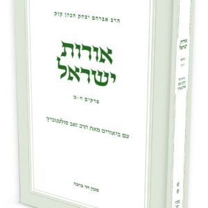 אורות ישראל - חלק ב' / הרב זאב סולטנוביץ'