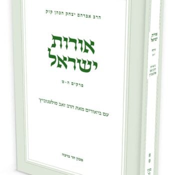 אורות ישראל - חלק ב' / הרב זאב סולטנוביץ'