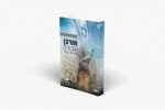 חורבן וגבורה - היסטוריה לכיתה י"א