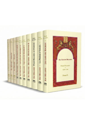 Série Pniné Halakha en français - 10 volumes