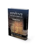בינה לעיתים -  ג' / הרב זאב סולטנוביץ